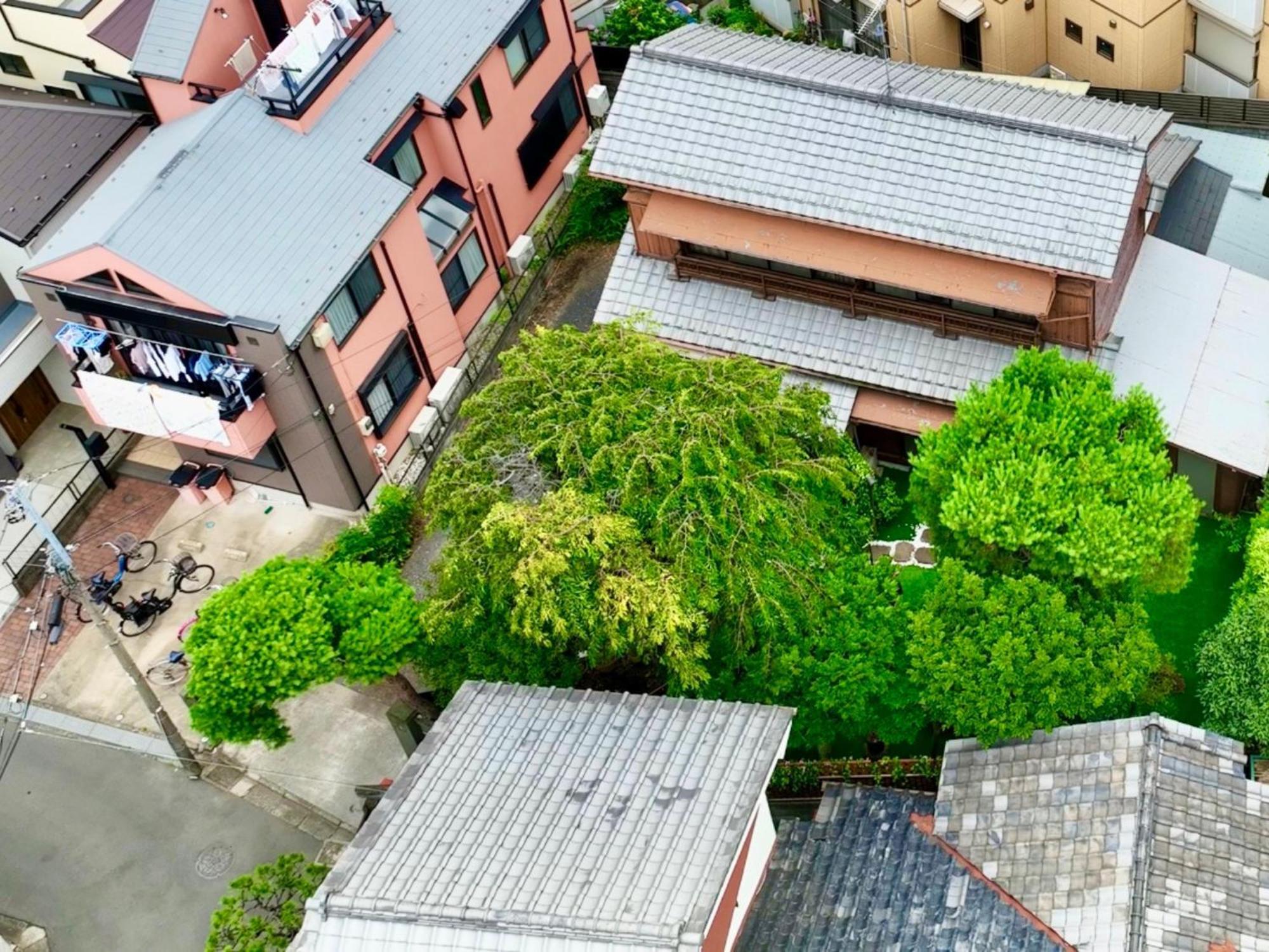 Family Or Business Travel 20 Percent Off丨200 Sqm 丨 14 Min To Shinjuku 丨century-Old Japanese Garden 丨3 Parking Spaces丨4 Bedrooms Tokyo Exterior photo